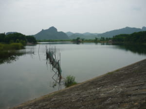 (Hồ Đồng Lớn - Như Thanh)